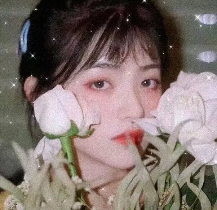 明星志愿2